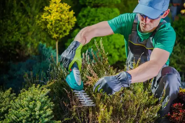 landscaping services Eau Claire